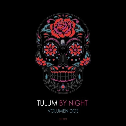 VA - Tulum by Night, Vol. 2 [IMDC037]